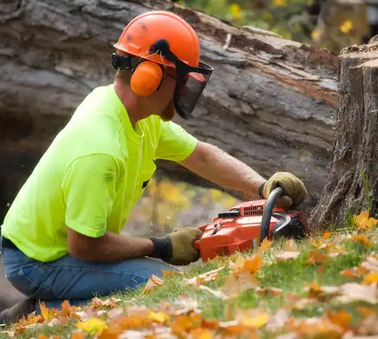 tree services Inniswold